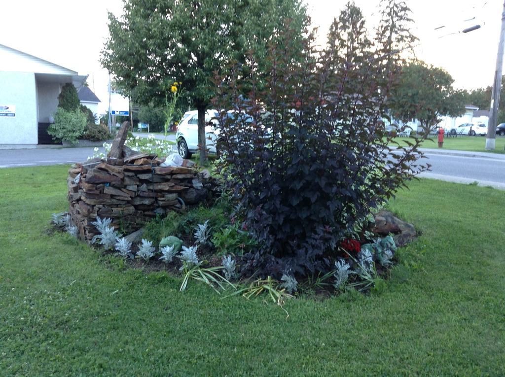 Gil Ann Bed & Breakfast Saint-André-Avellin Екстериор снимка